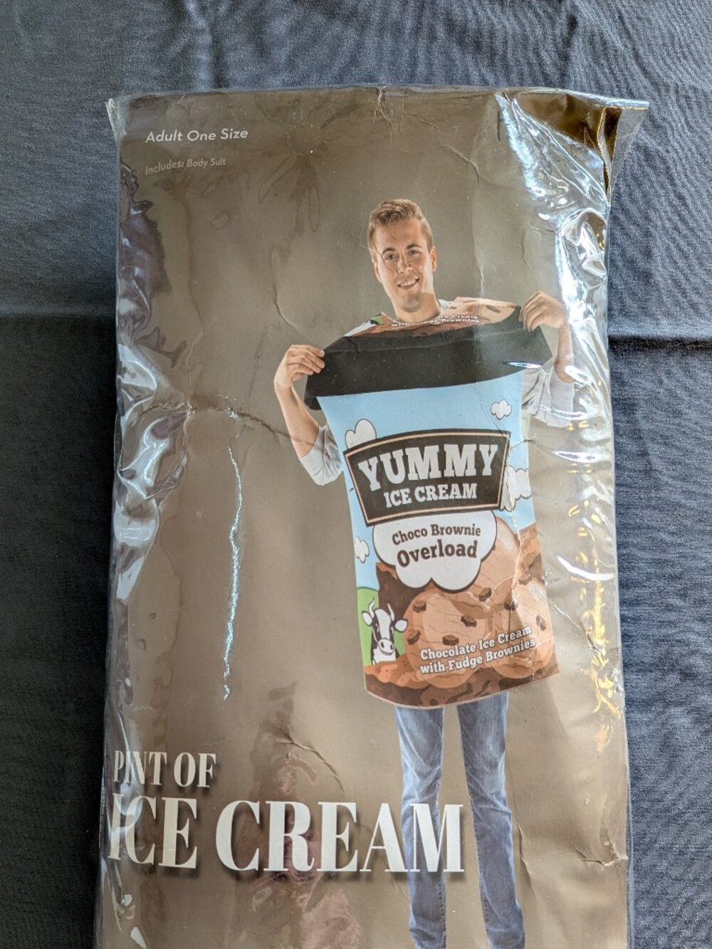 Pint of Ice Cream Halloween Costume